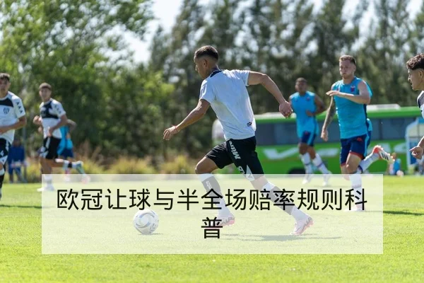 大满贯球员伤退名单与轮空赛程查询